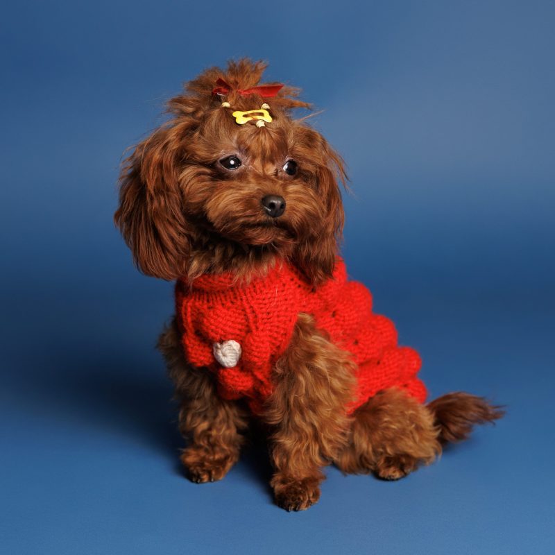 Sweter o splocie POPCORN - czerwony