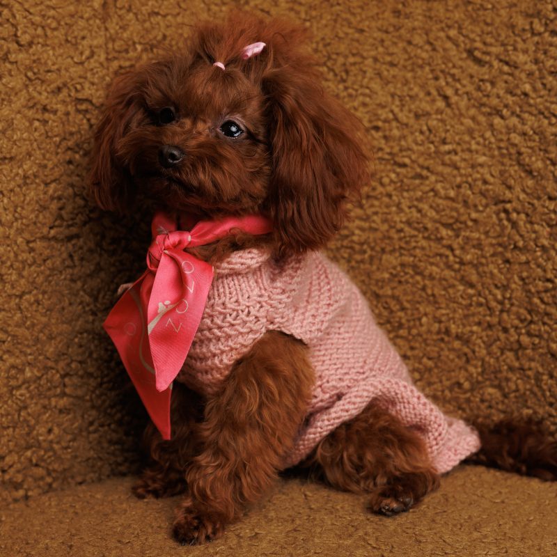 Sweter sukienka - różowy DAISY