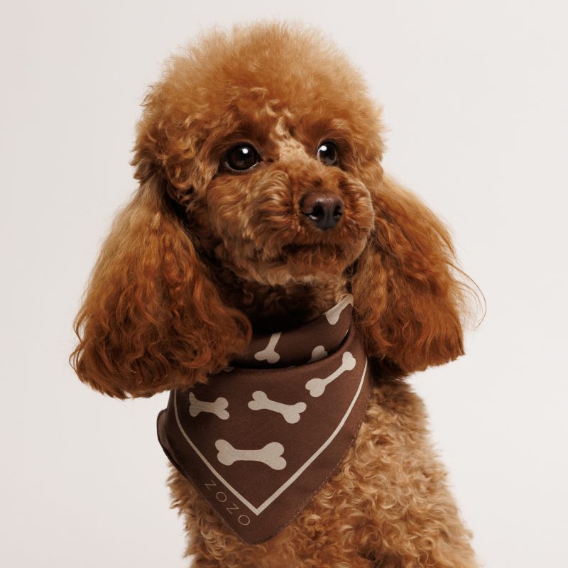 Chustka jedwabna ROXY - brązowa w kości