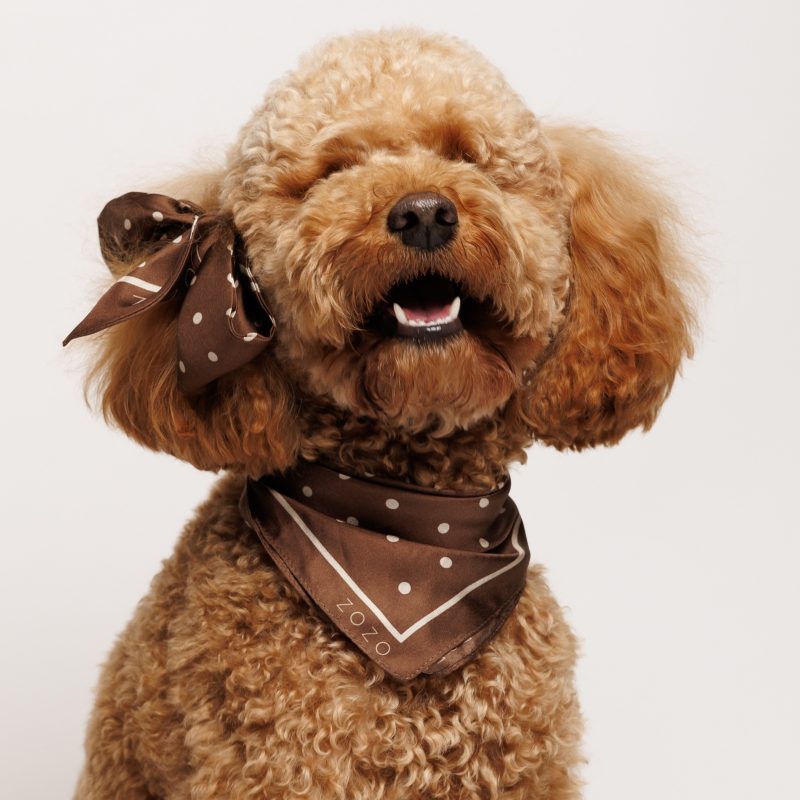 Chustka jedwabna ROXY - brązowa w MNIEJSZE kropki