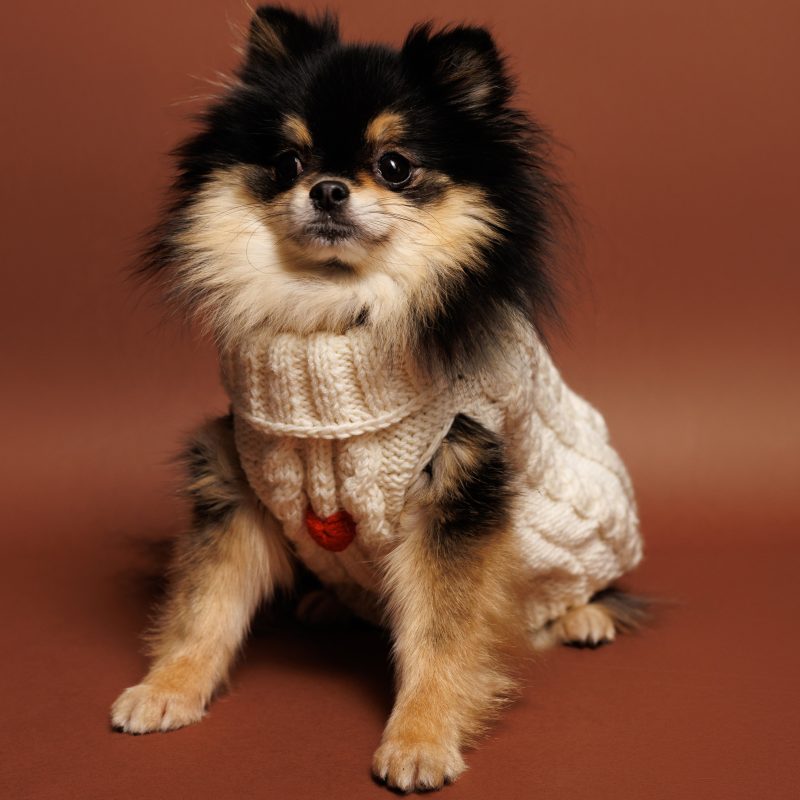 Sweter o splocie WARKOCZ - śmietankowy LOLA