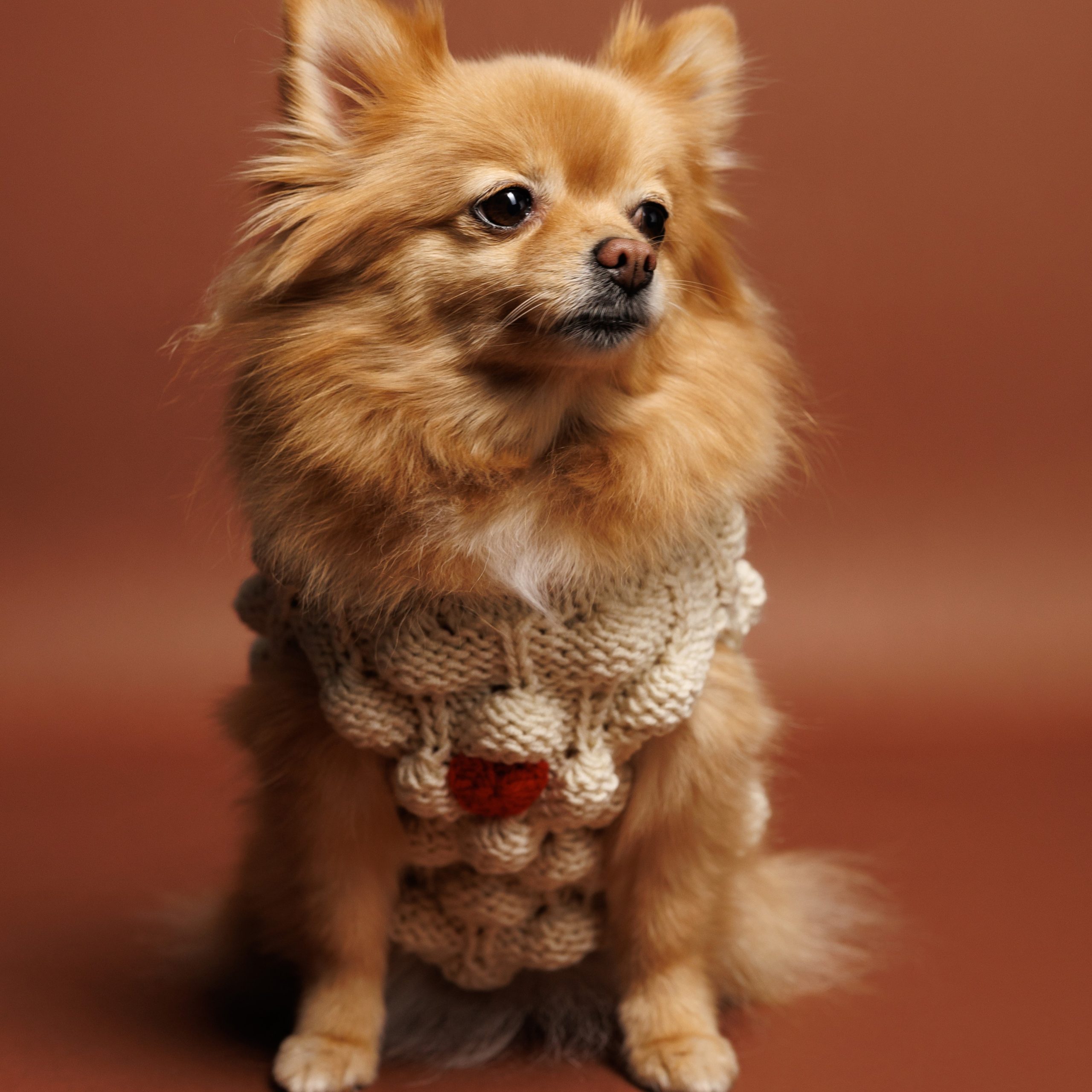 Sweter o splocie POPCORN - śmietankowy