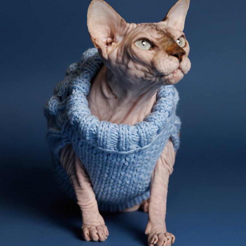 Sweter o splocie POPCORN - niebieski