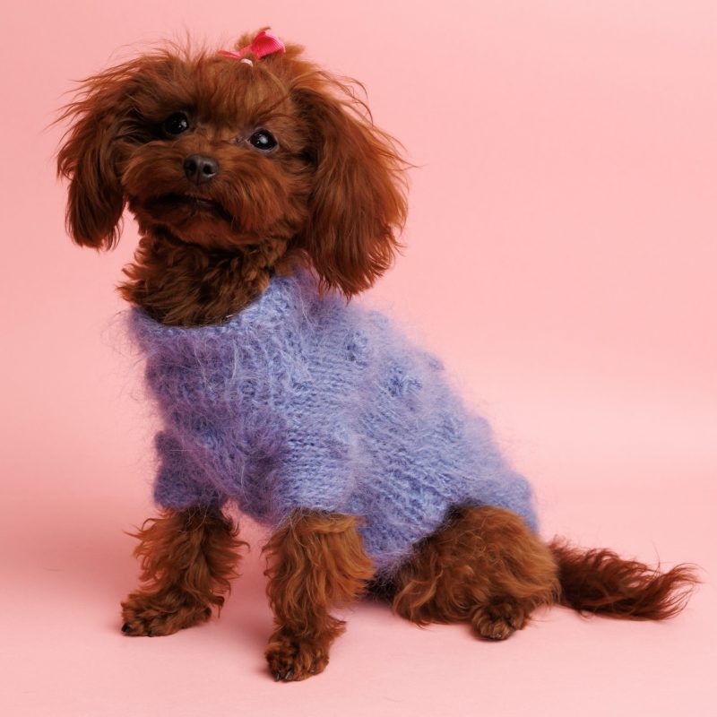 Sweter o splocie BUBLLES - niebieski