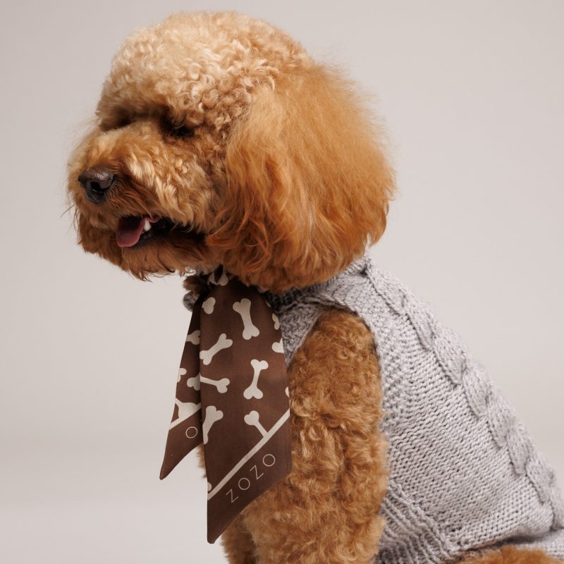 Szalik jedwabny ZOSIA - brązowa w kości