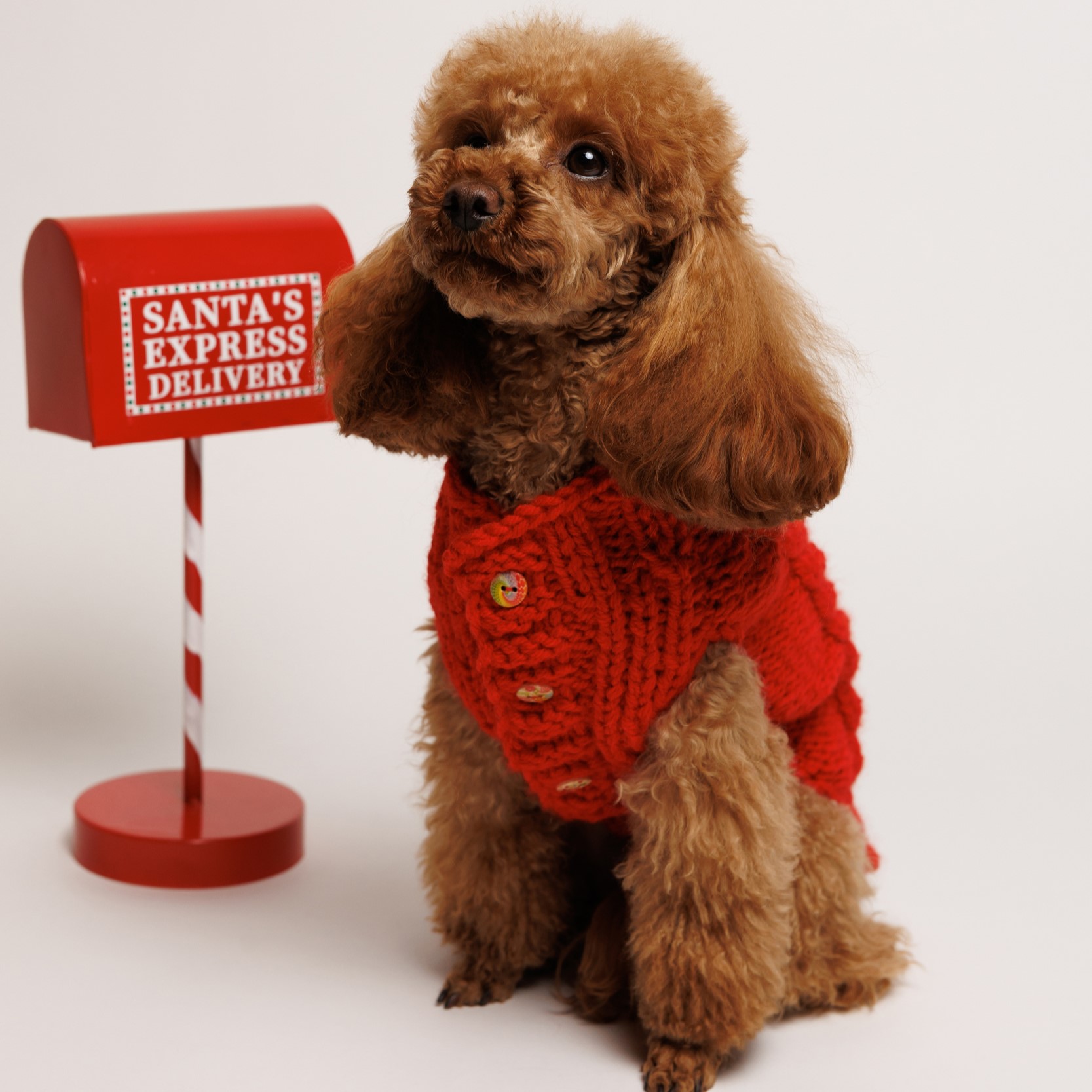 Sweter rozpinany o splocie WARKOCZ - czerwony RITA