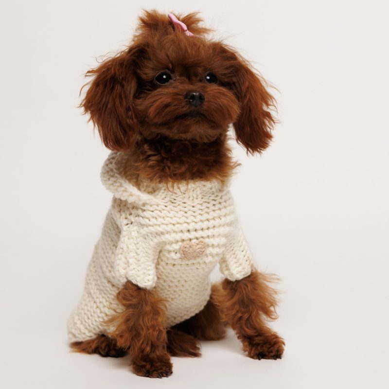 Sweter z rękawkami i kapturem - śmietankowy ABBY