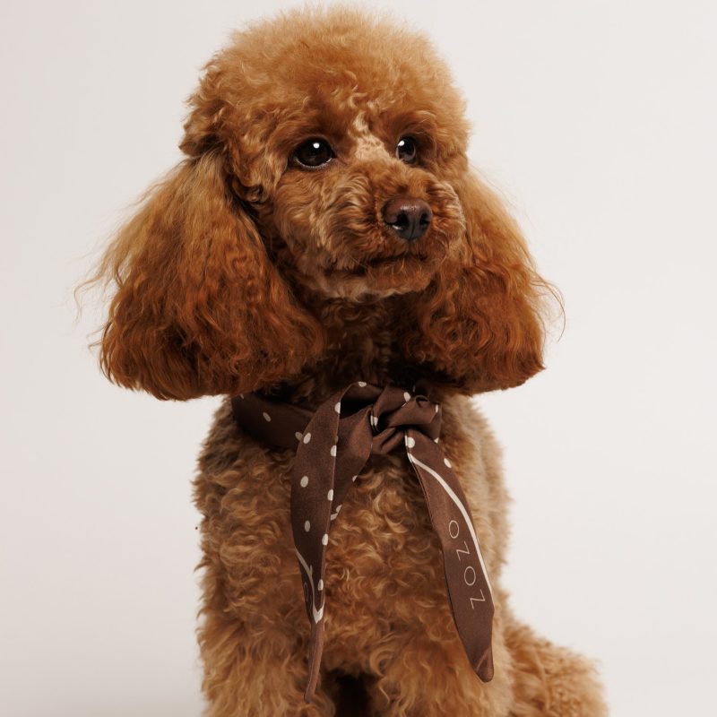 Szalik jedwabny ZOSIA - brązowy w MNIEJSZE kropki