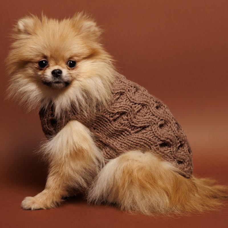 Sweter o splocie WARKOCZ - czekoladowy LOLA