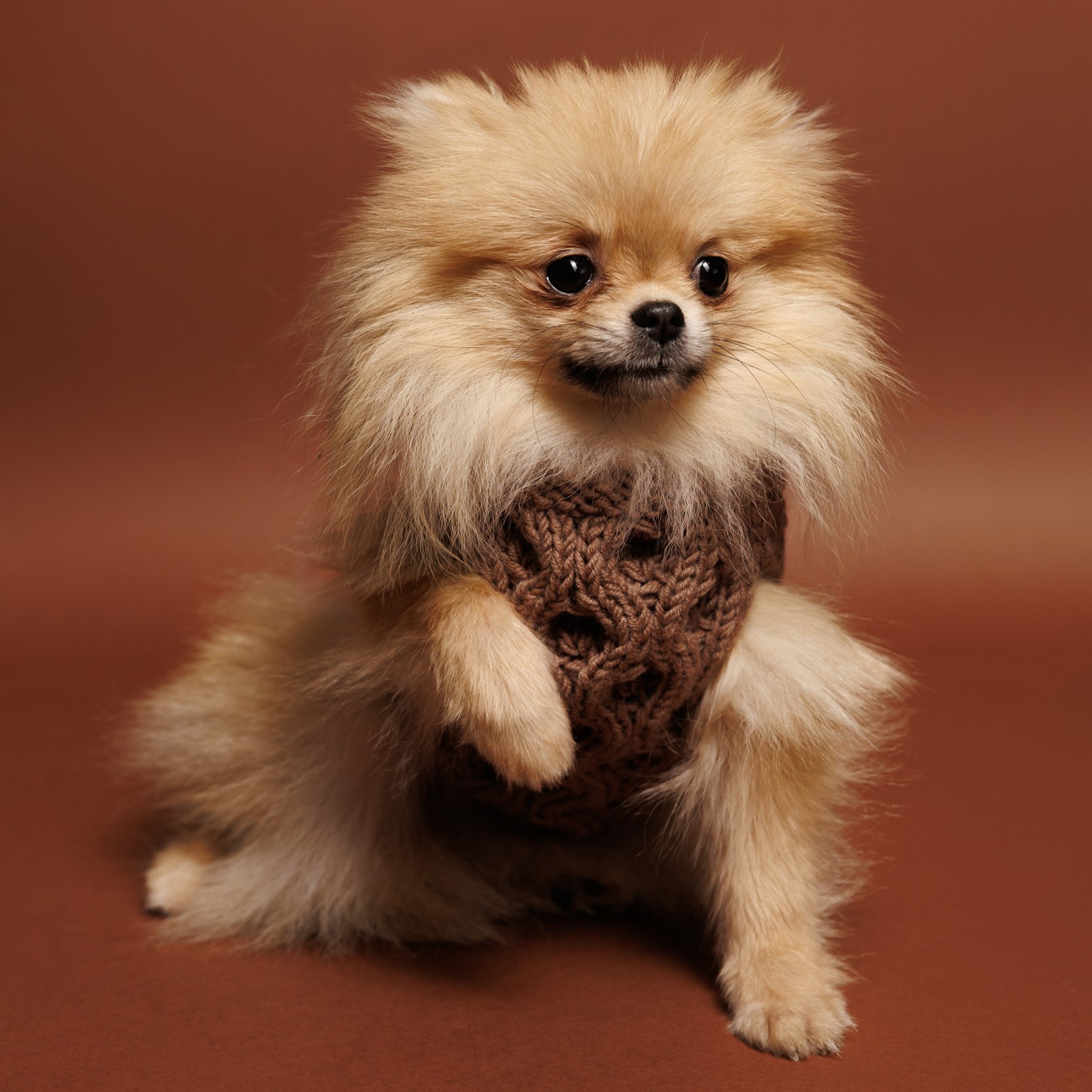 Sweter o splocie WARKOCZ - czekoladowy LOLA - obrazek 2