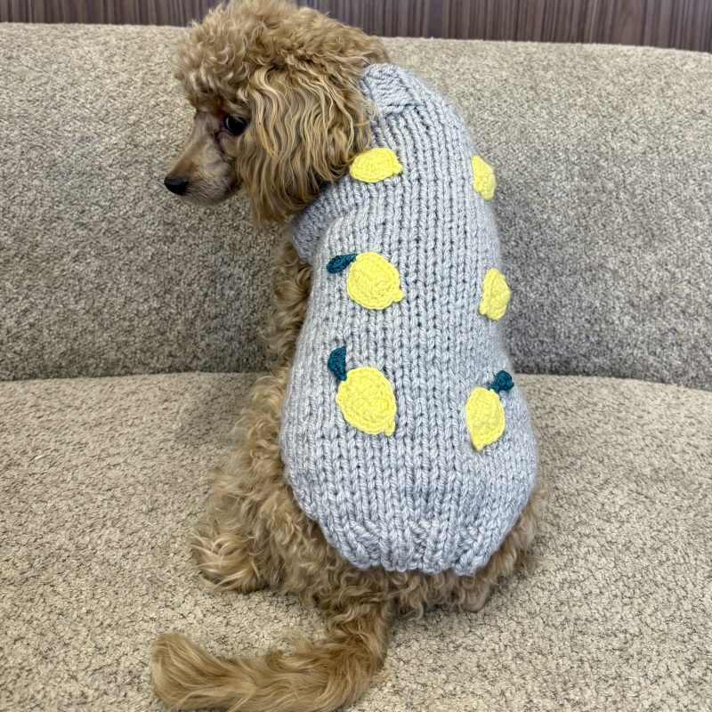 Sweter gładki z cytrynami - szary LEMON