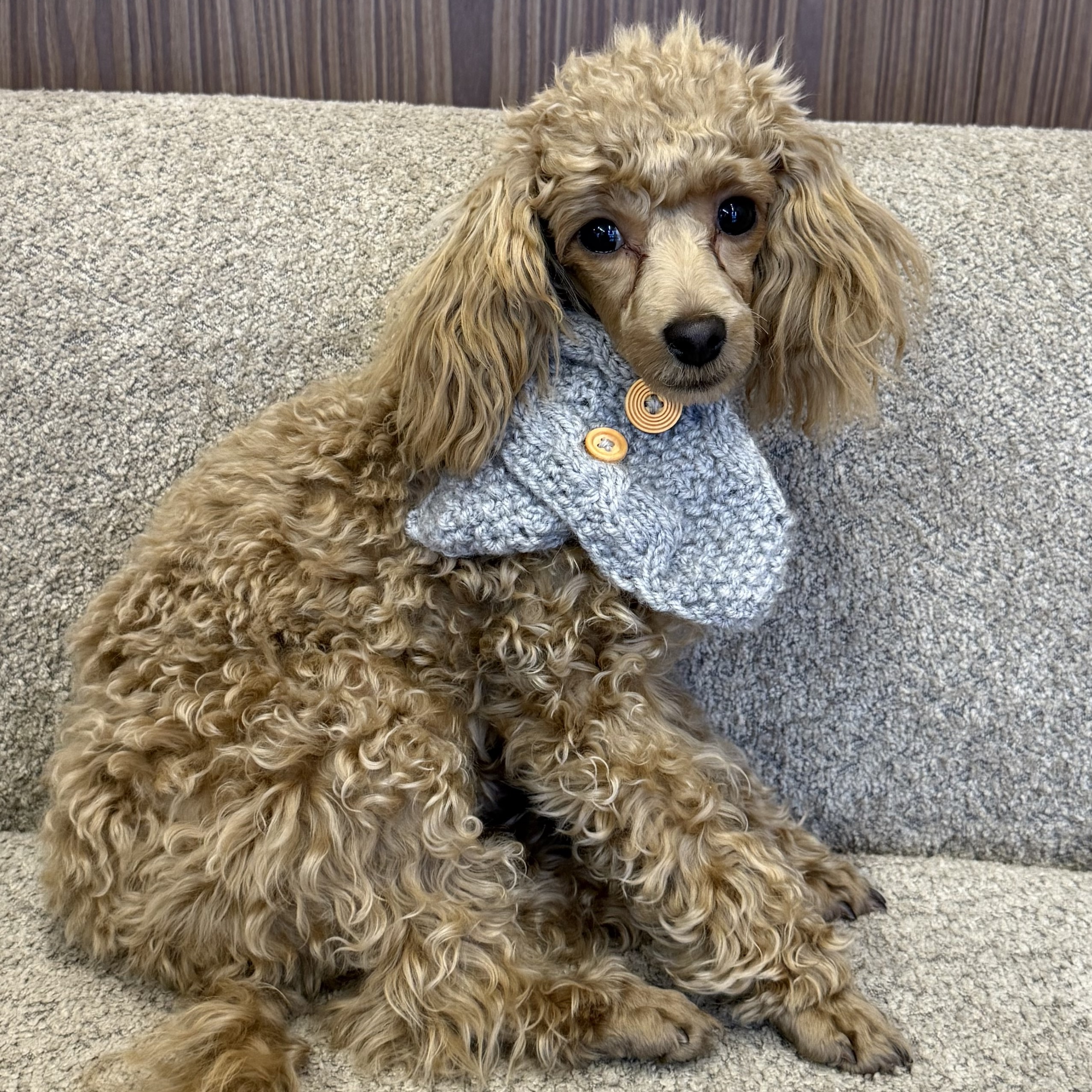 Szalik sweterkowy HELENKA - szary