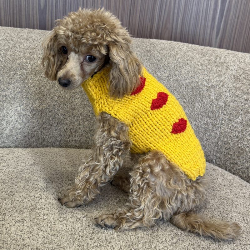 Sweter gładki z ustami -  żółty BOCCA