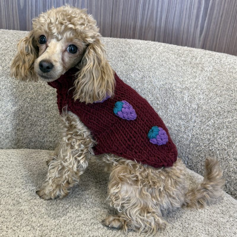 Sweter gładki z jeżynami - bordo MORA